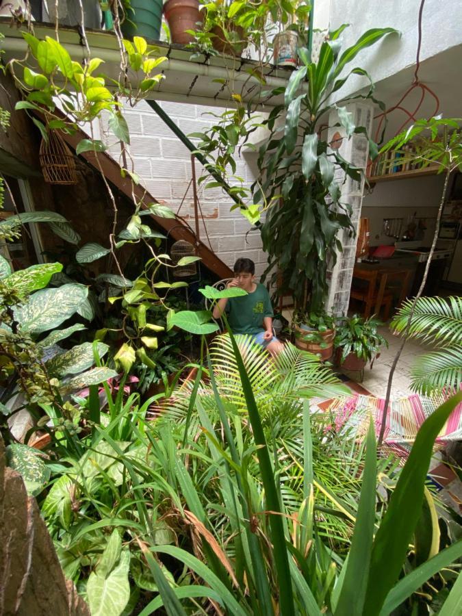 Hostal Casa Las Tias Medellin Bagian luar foto